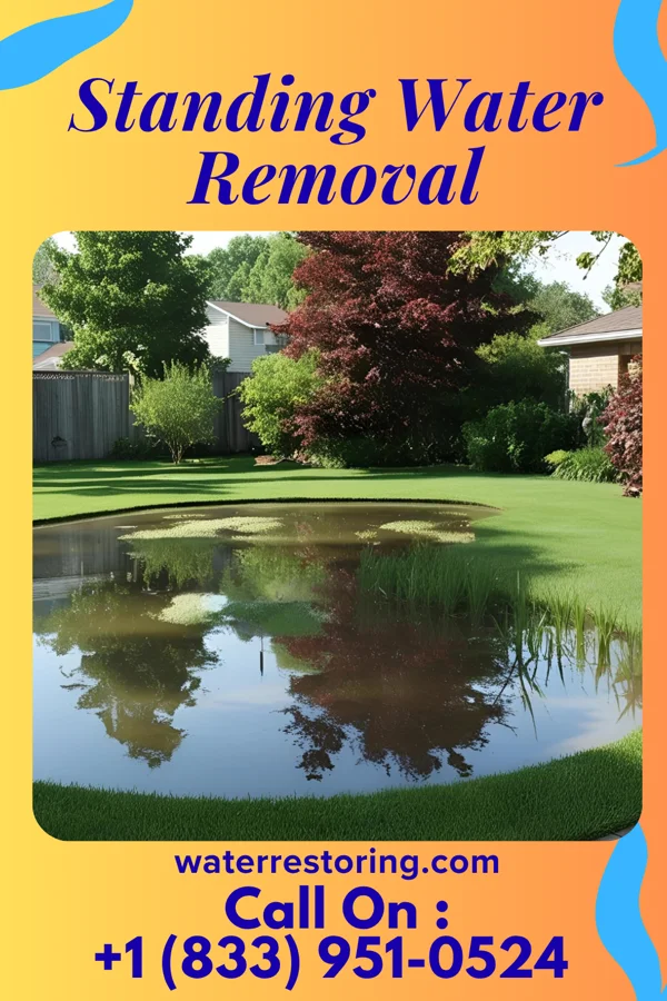 Standing Water Removal in Miami Springs, FL